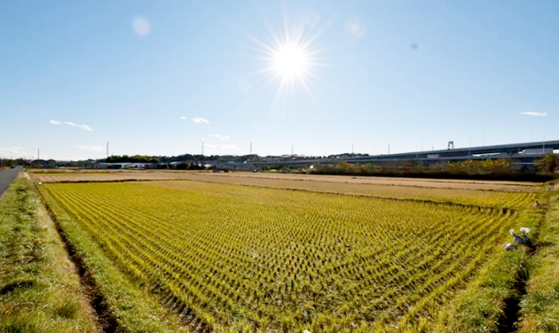 理想の住まいづくりの例をご紹介
