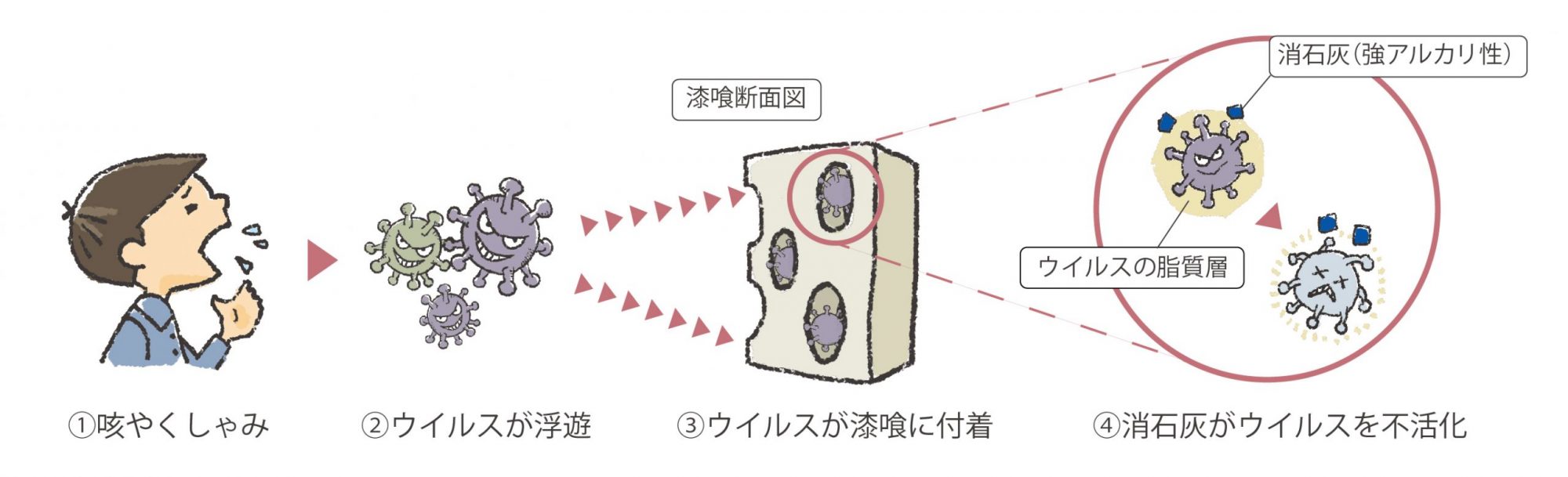 抗ウイルス作用のメカニズム