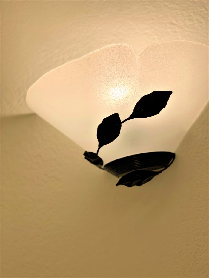 【完成見楽会】自然と家族が集まりたくなるリビングがある家♪