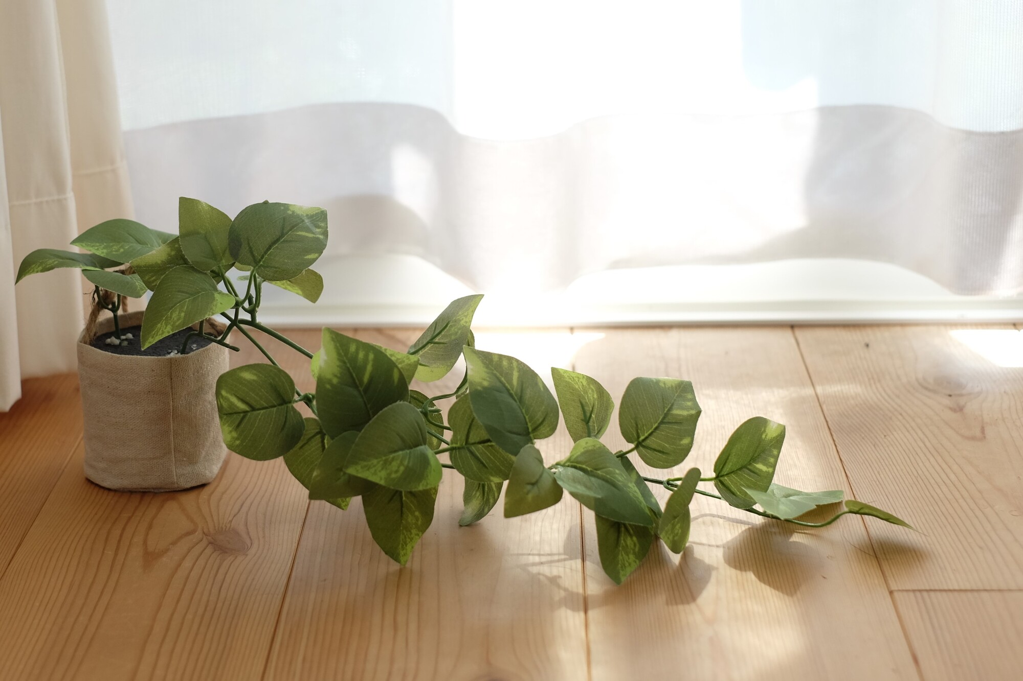 ナチュラルな内装が人気の理由