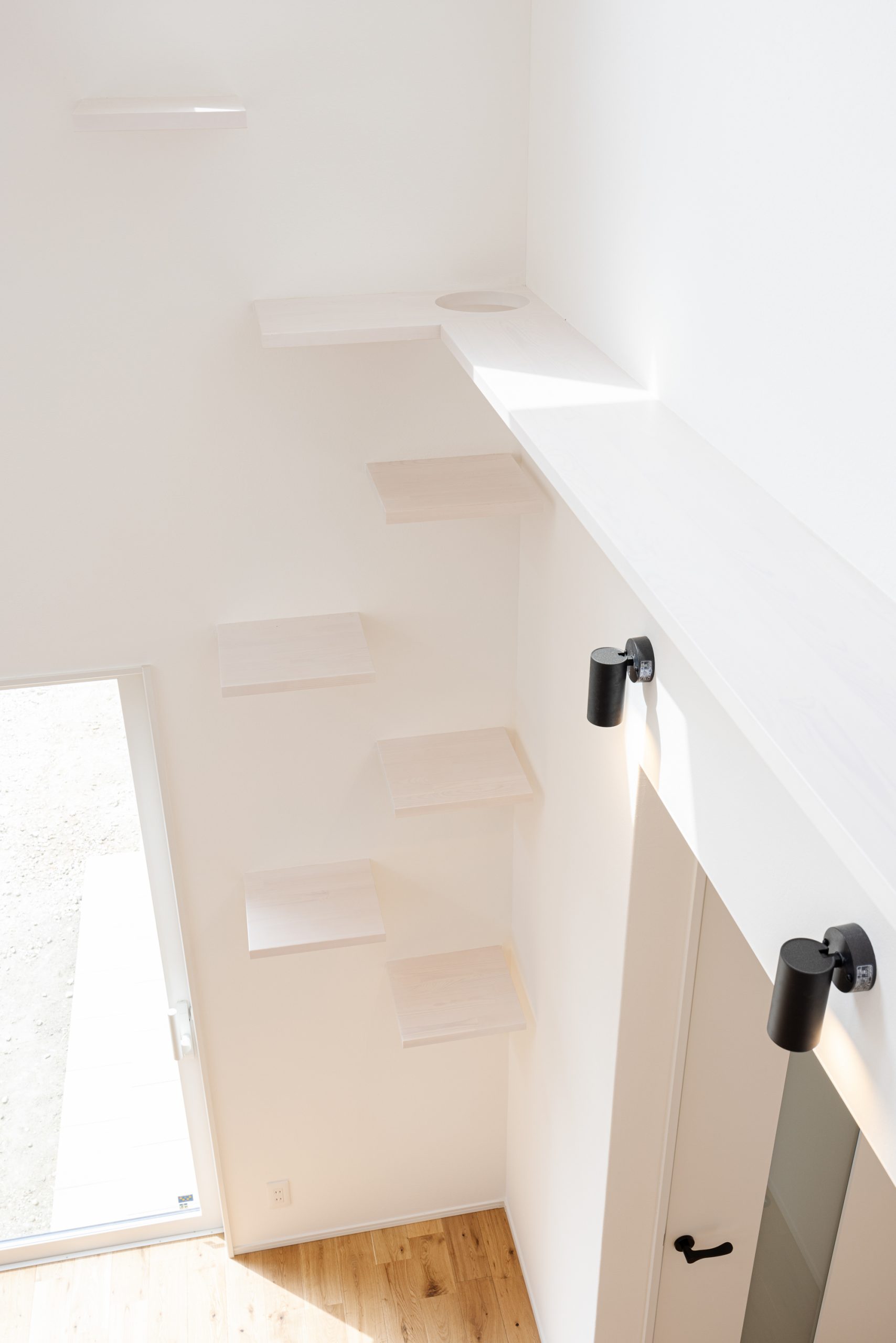 愛猫のことを考えて設置されたキャットウォーク