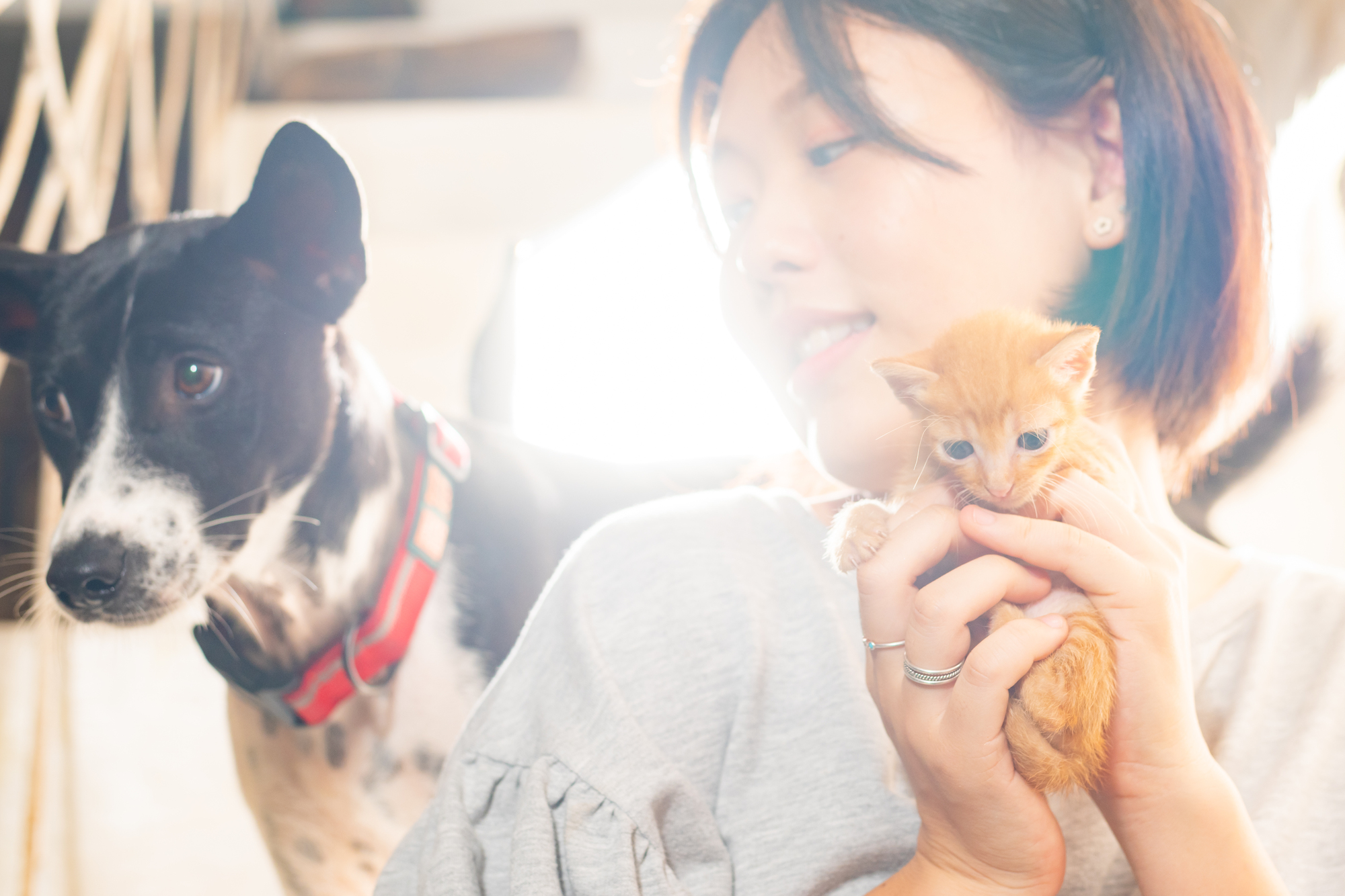 ペットと快適に暮らす家づくり｜工夫したい間取りや注意点を解説