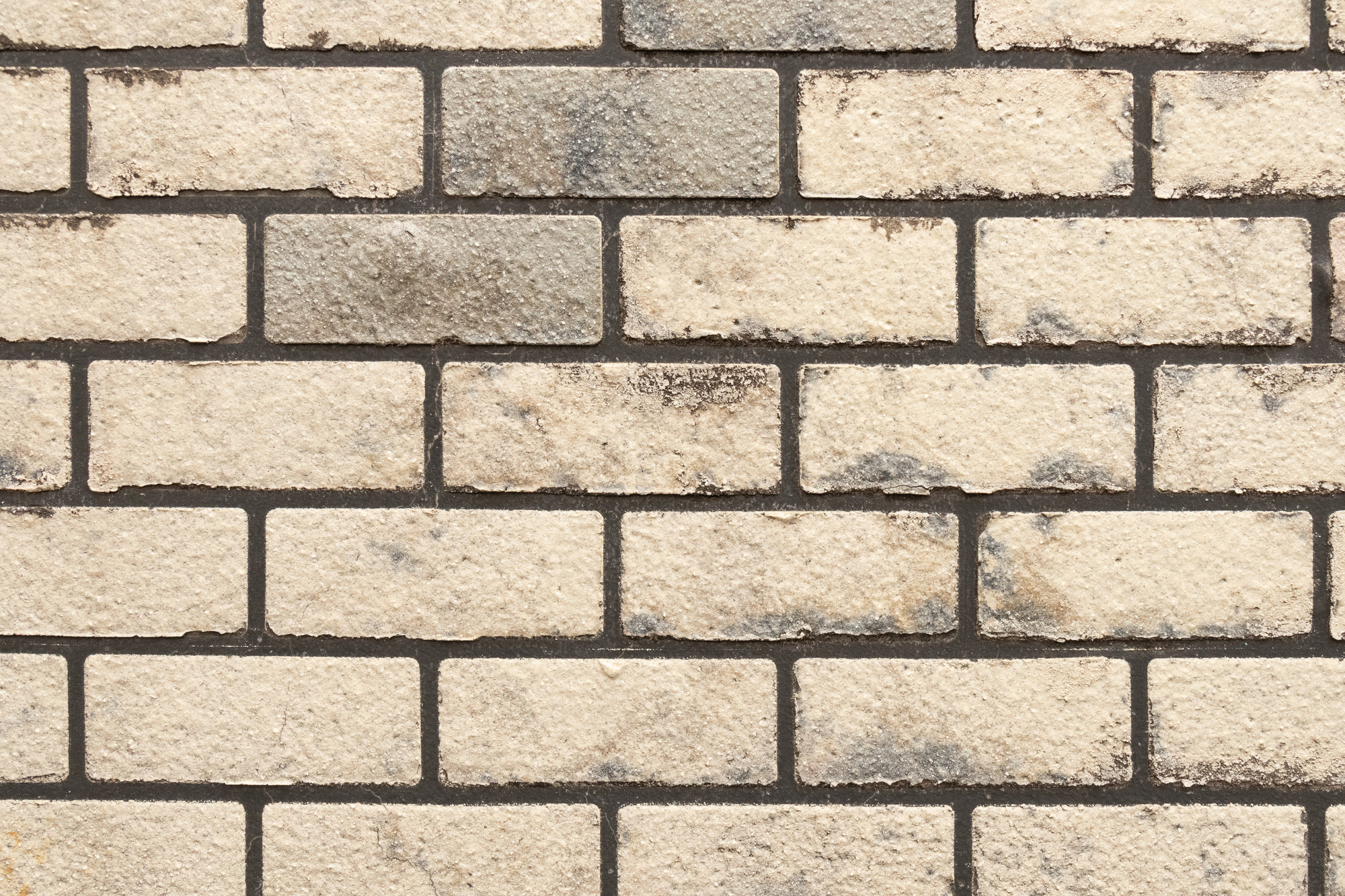 外観を決める際の注意点