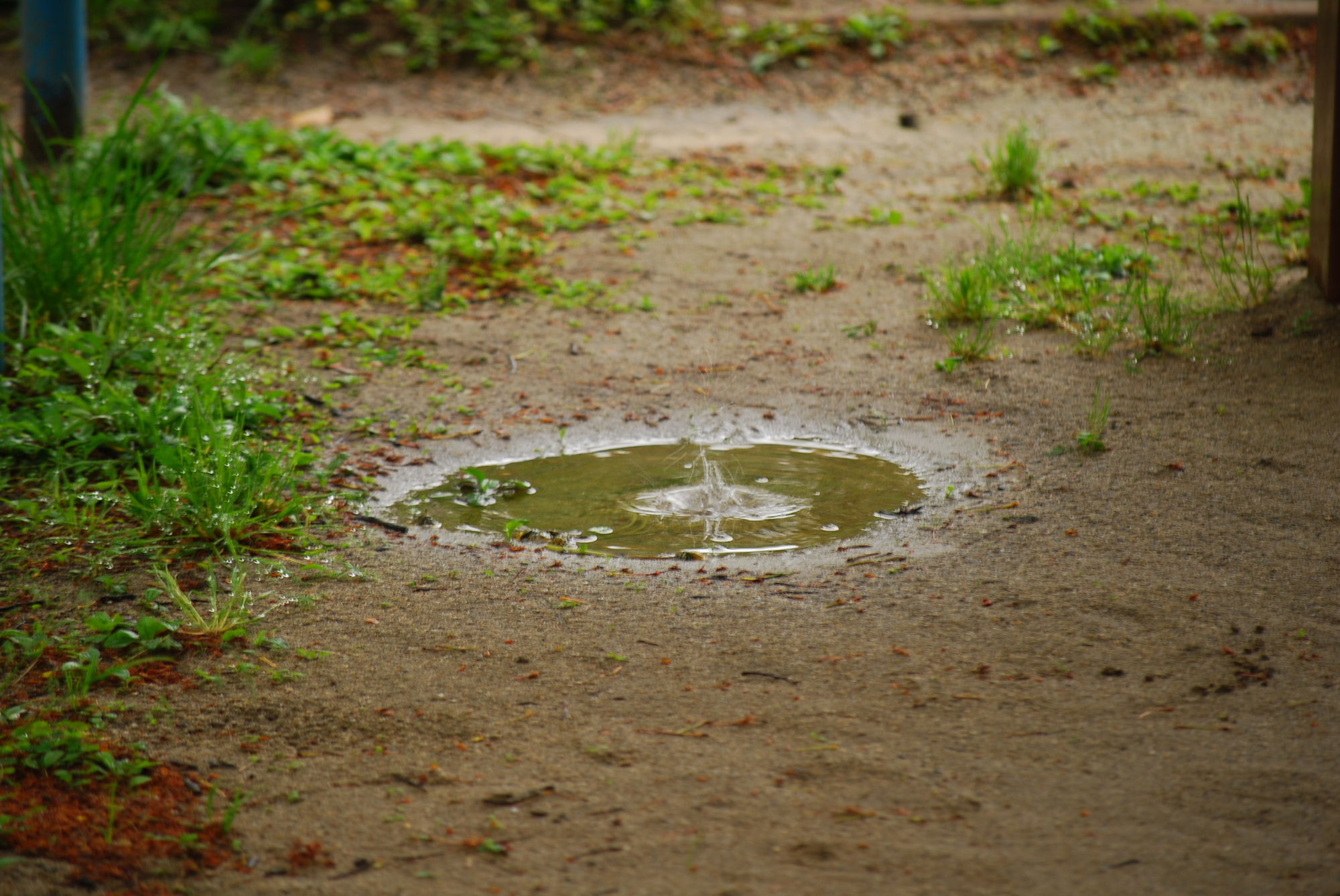 中庭のある家で後悔しやすいポイントとは?
